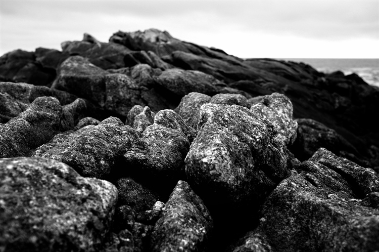 Instants Noir & Blanc - Fabien Bosdedore Photographie