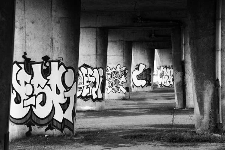 Instants Noir & Blanc - Fabien Bosdedore Photographie